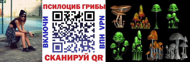 MEGA онион  Лебедянь  Галлюциногенные грибы Cubensis  купить наркотик 